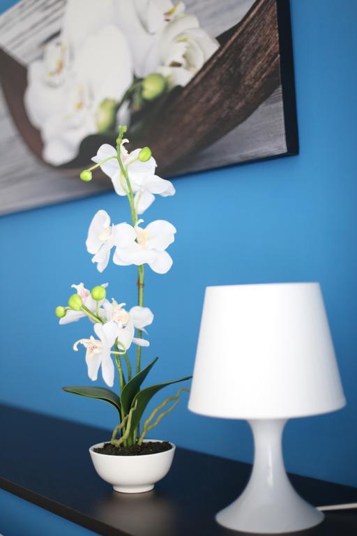 Iris Room Rome Extérieur photo